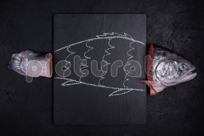 Свежий лосось